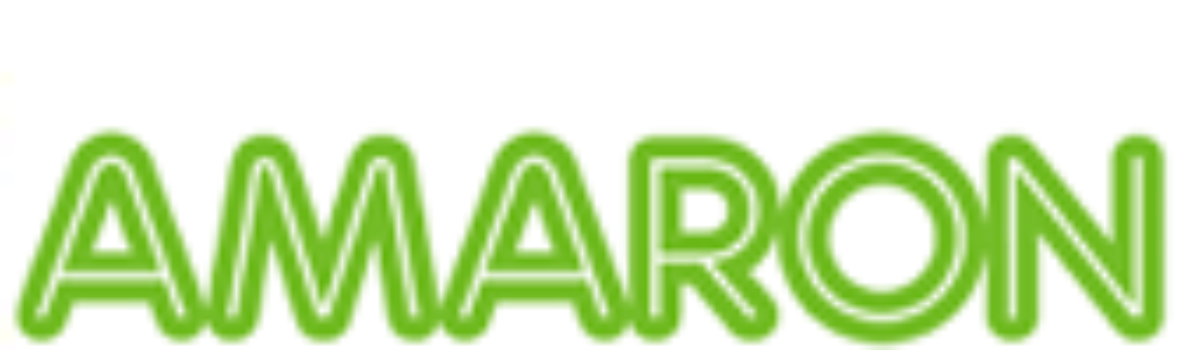logo1